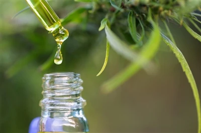 CBD vs. THC: Everything You Need to Know