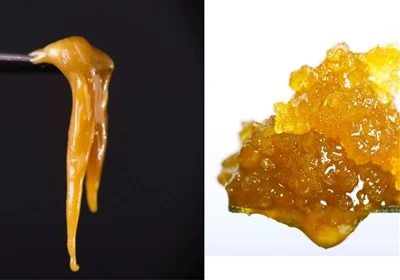 Live Resin vs. Live Rosin: What's the Difference?