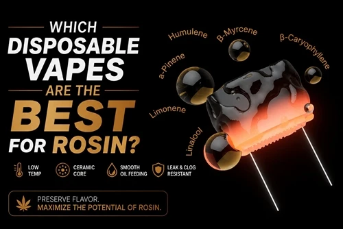 Which Disposable Vapes Are The Best For Rosin?