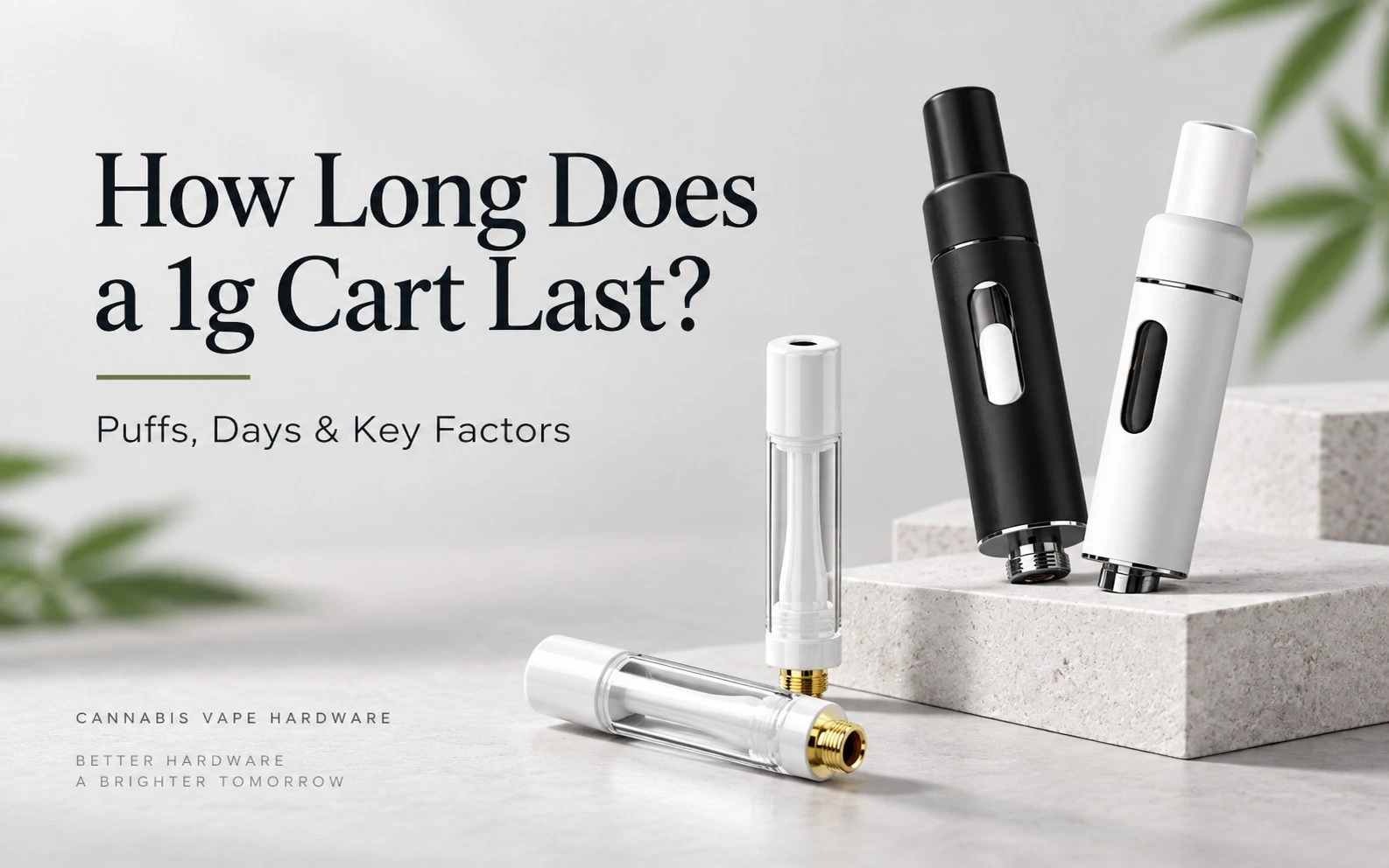 How long does a 1g cart last How long does a 1g cart last